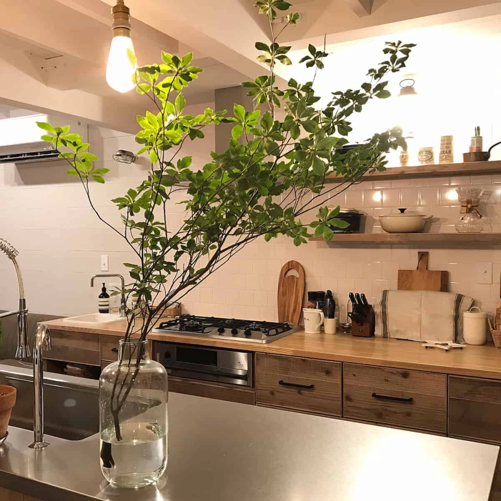 Cây xanh nhà bếp giúp căn bếp thêm thoáng đãng