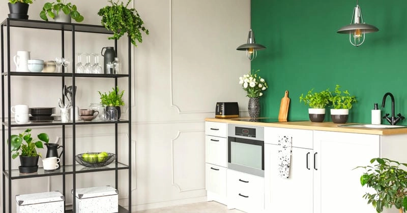 Cây hút mùi nhà bếp giúp giảm mùi dầu mỡ