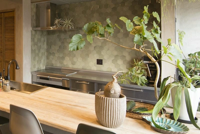 Cây trồng nhà bếp giúp cân bằng không gian sống