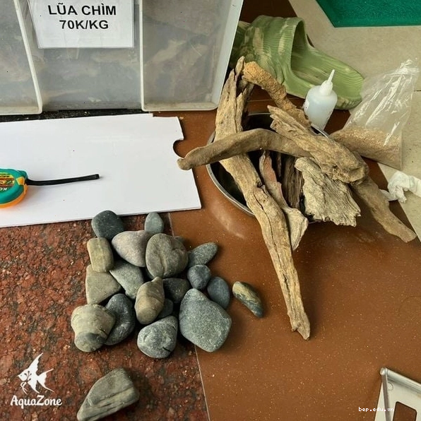 Chuẩn bị các vật dụng cần thiết để thiết lập bể cá mini chuyên nghiệp