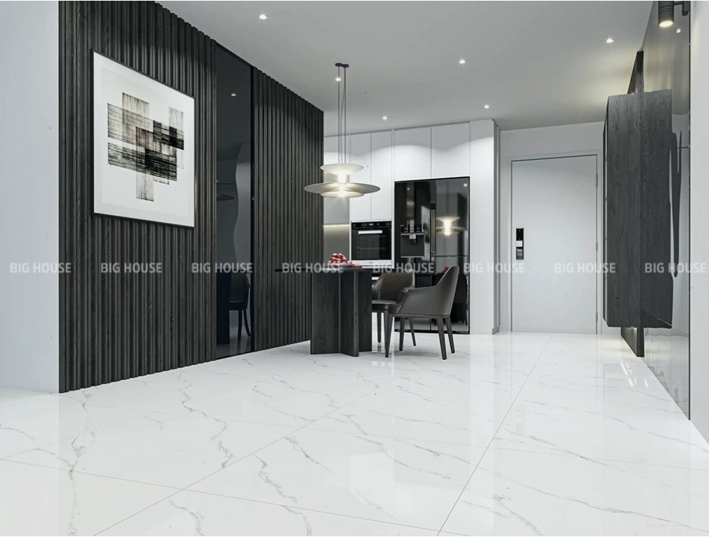Gạch 80x80 lát nền Tasa 9213