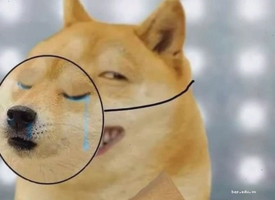 Hinh anh meme ve cac tinh huong hai huoc trong phim hai huoc nhat