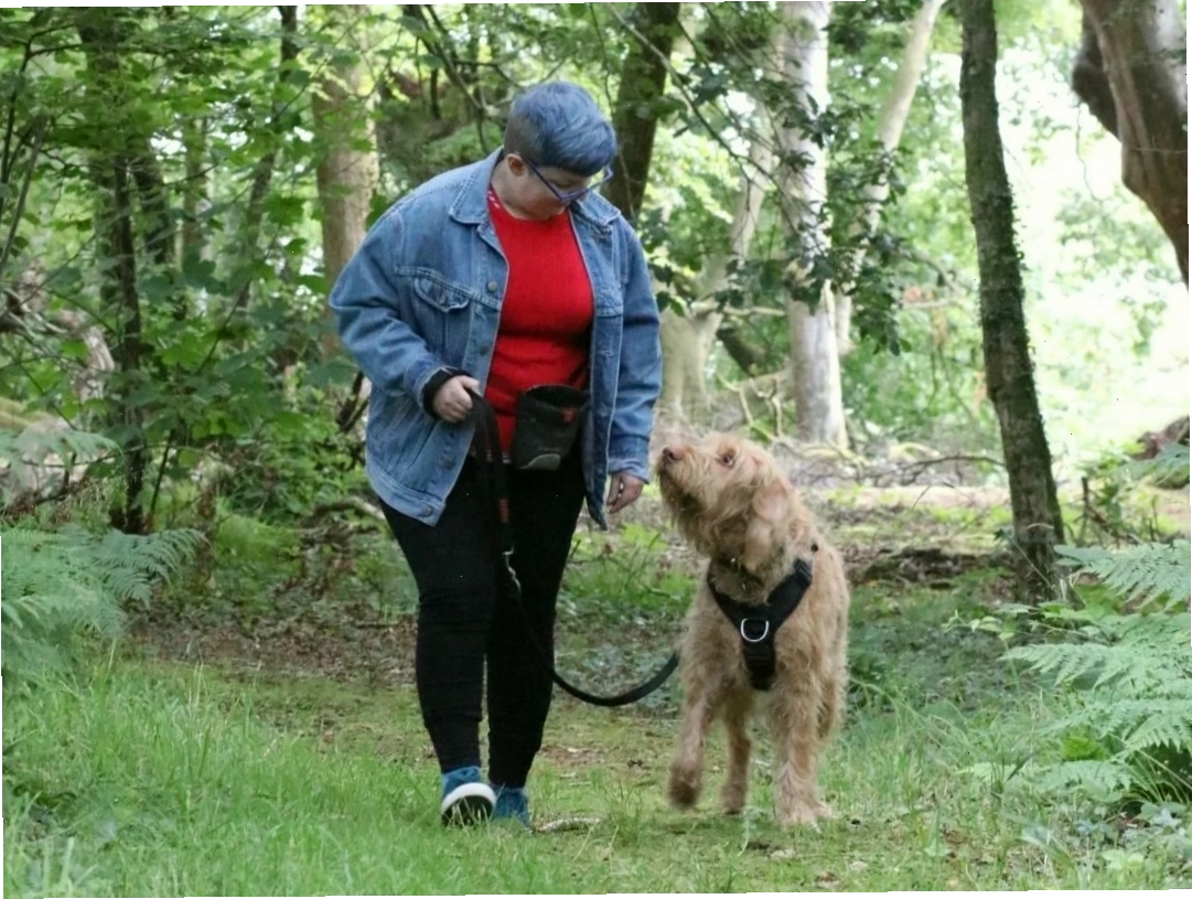 Me and my dog Hattie walking in the woods