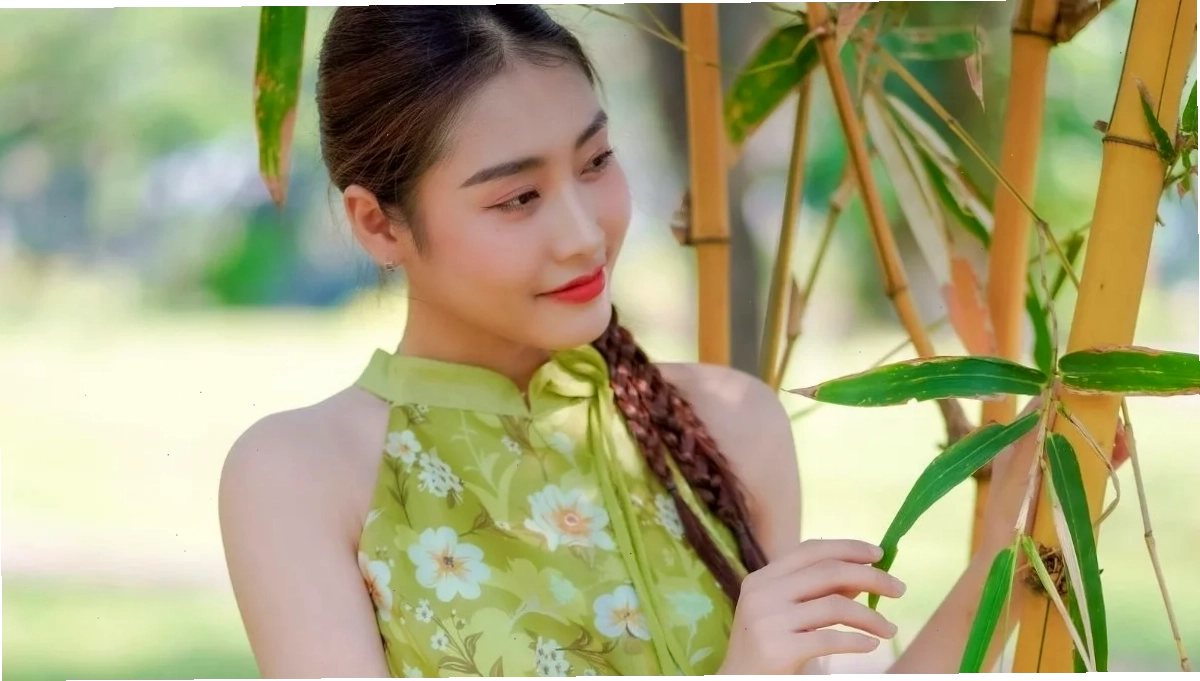 Gái dễ thương Việt Nam trong tà áo dài truyền thống toát lên vẻ đẹp thanh lịch