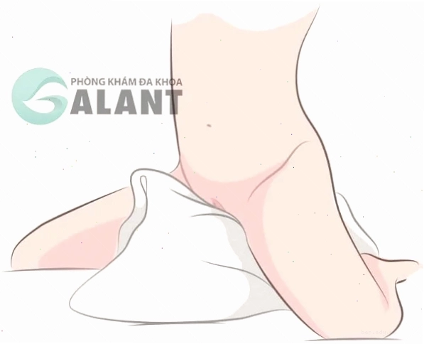 Minh họa cấu trúc giải phẫu bộ phận sinh dục nữ