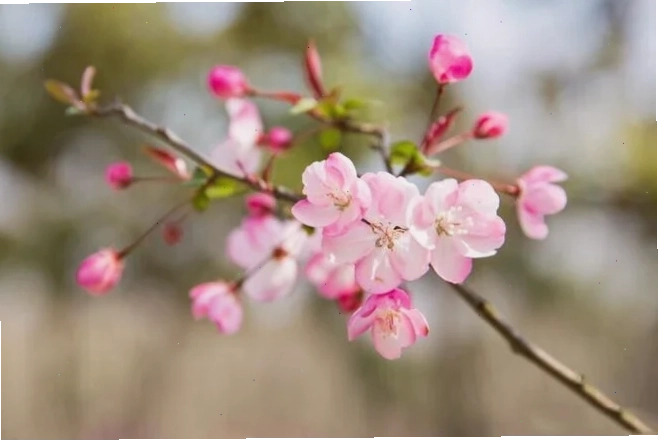 Vượt qua tổn thương trong các mối quan hệ xã hội