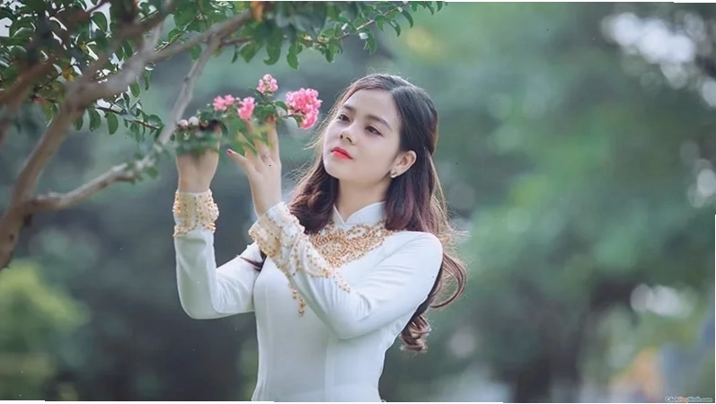 Xu hướng hình nền gái xinh độ phân giải siêu cao trong tương lai