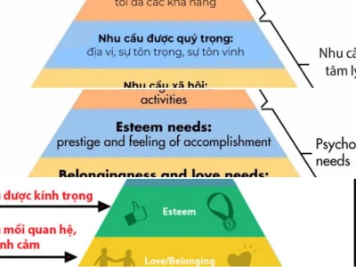 Học thuyết nhu cầu Maslow là gì và ứng dụng thực tế năm 2026