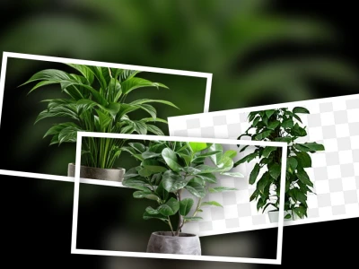 Tuyển tập tranh chibi các loài cây cảnh nội thất đẹp nhất năm 2026